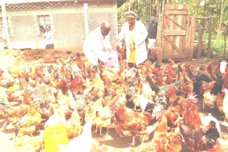 Health Biosecurity Measures