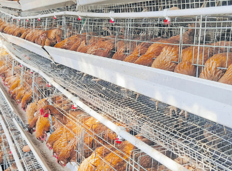 Farm Management Practices