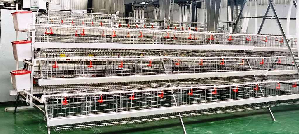 Supply of Feed Supplements