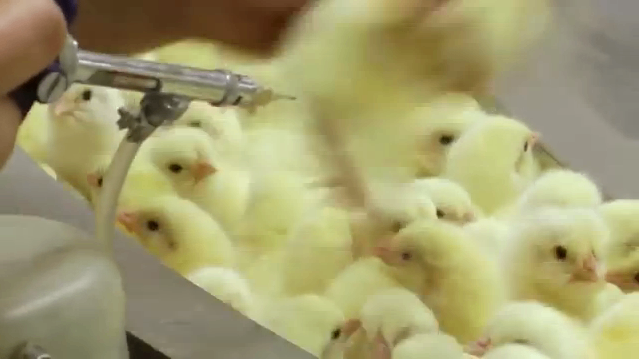 Welcome to OMUFFUTA ENTERPRISES